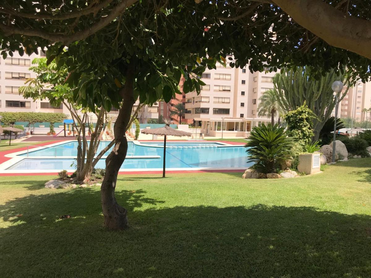 Playa Dos Avenidas Alicante Ngoại thất bức ảnh