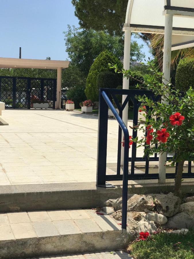 Playa Dos Avenidas Alicante Ngoại thất bức ảnh